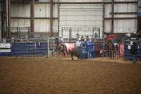 BOOMSMA-MERRILLDSC_0818.JPG