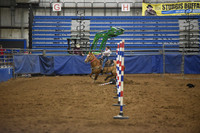 CASTEEL, SCOUTDSC_7609.JPG