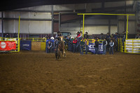 Tie Down Roping