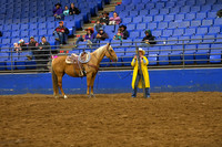 BOOMER, SUMMERDSC_2212.JPG