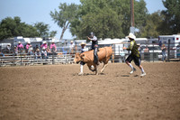 ACHESON, PAYSONDSC_4639.JPG