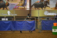 BORTON, BLUEDSC_3053.JPG