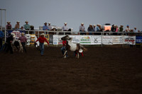 Wild Pony RaceDSC_6088