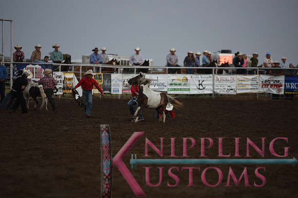 Wild Pony RaceDSC_6088