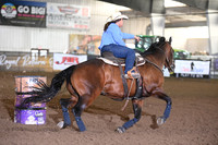 HADLEY, SUSANDSC_5394.JPG