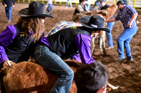 WILD RIDEDSC_4484.JPG