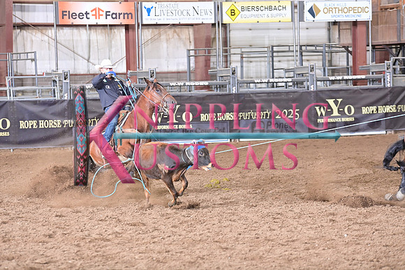BRAZILE, TREVORDSC_3760.JPG