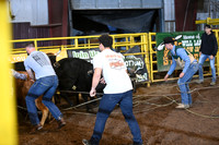 WILD STEER RIDINGDSC_6007.JPG