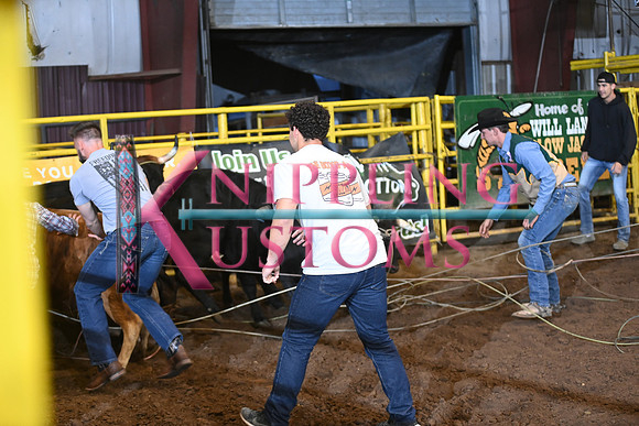 WILD STEER RIDINGDSC_6007.JPG