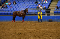 JOHNSTON, AUDRADSC_2780.JPG