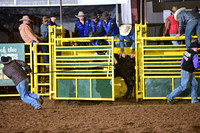 Bull Riding